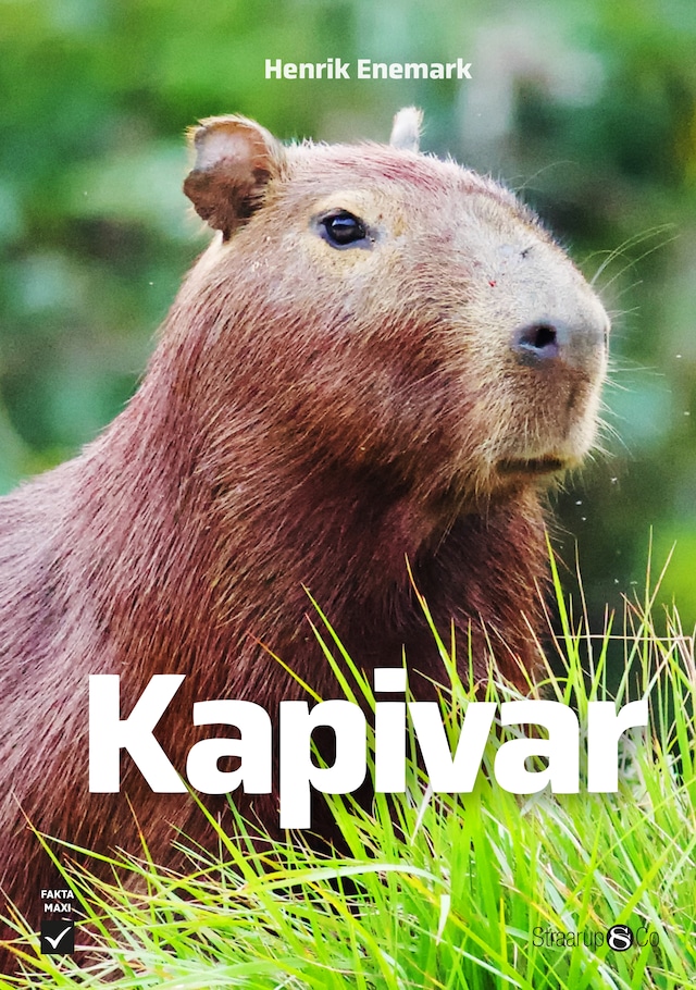 Book cover for Kapivar