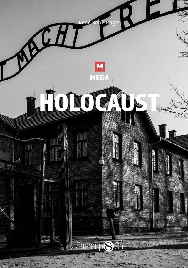 Book cover for Holocaust