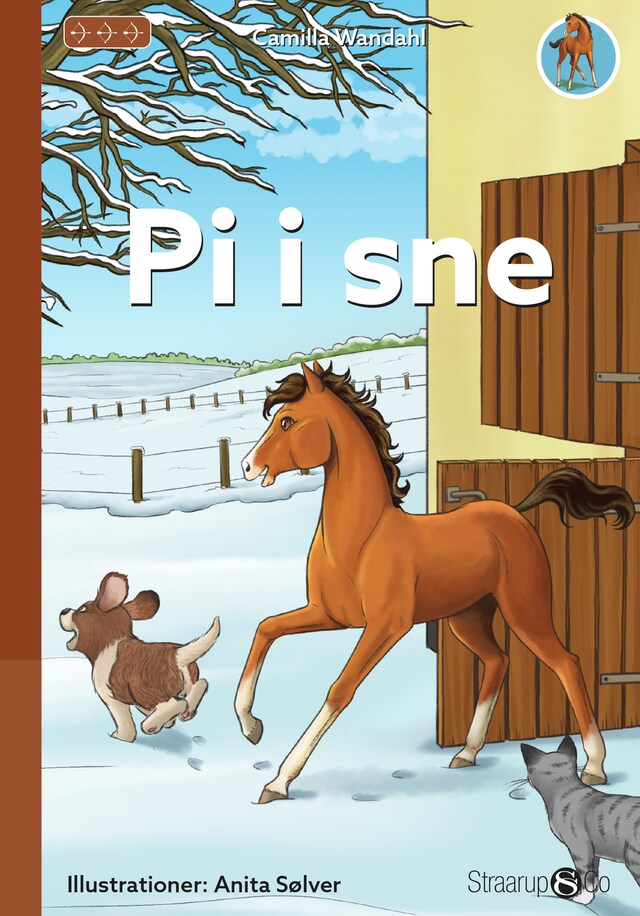 Book cover for Pi i sne