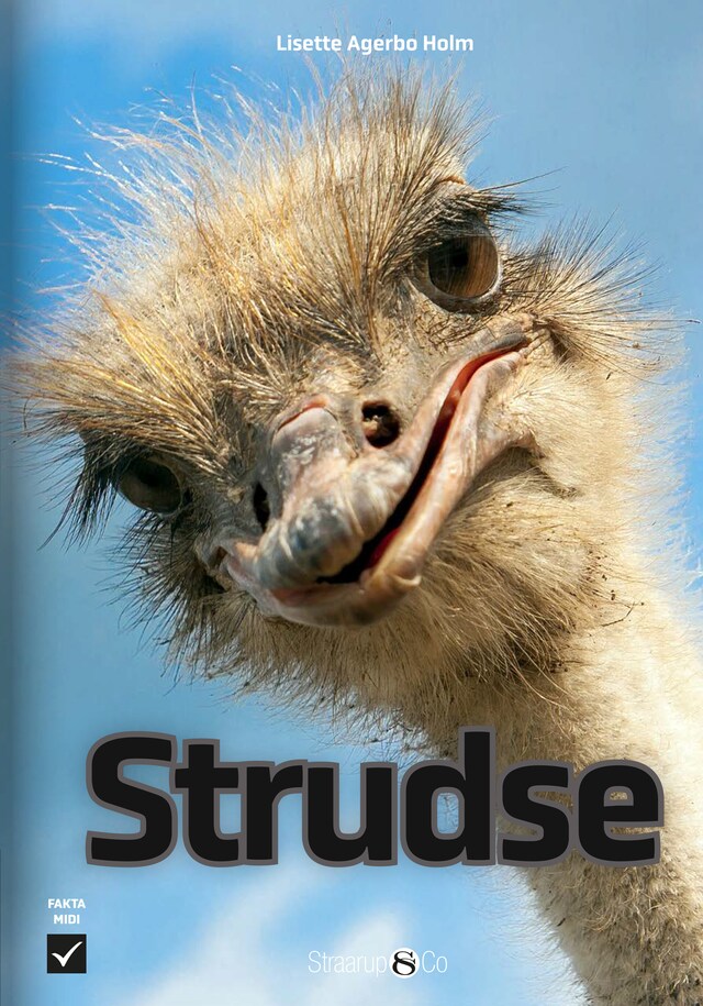 Book cover for Strudse