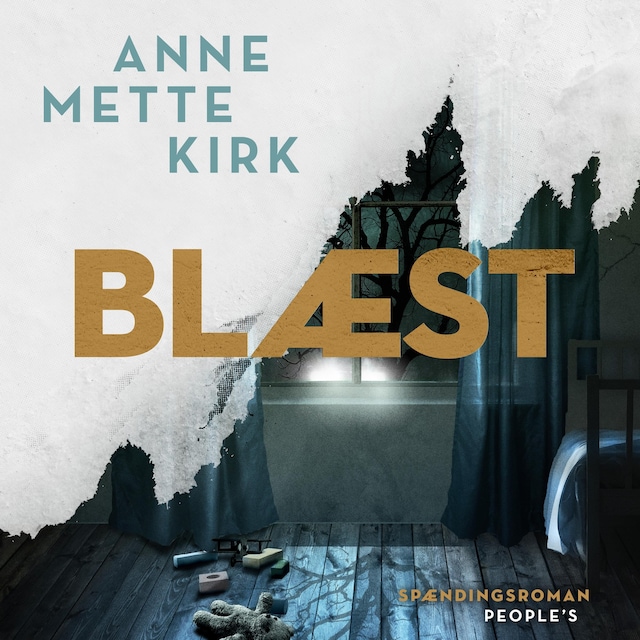 Book cover for Blæst