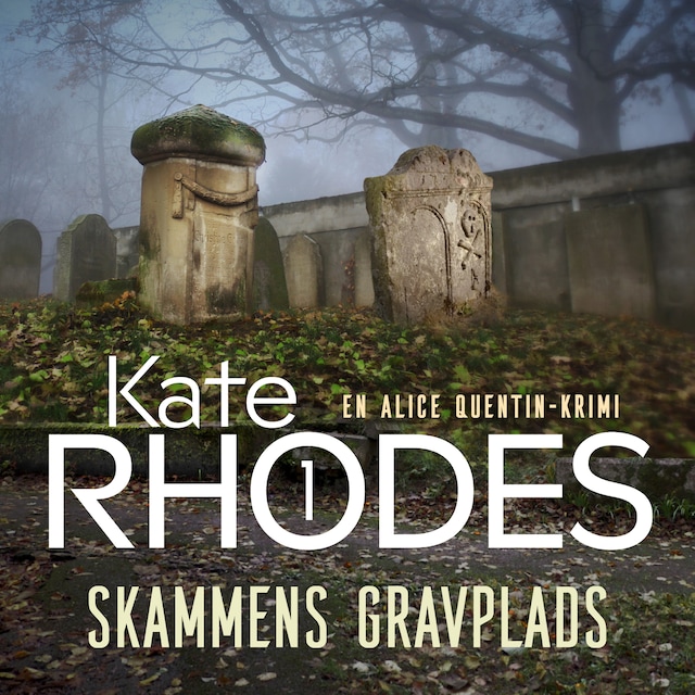 Book cover for Skammens gravplads