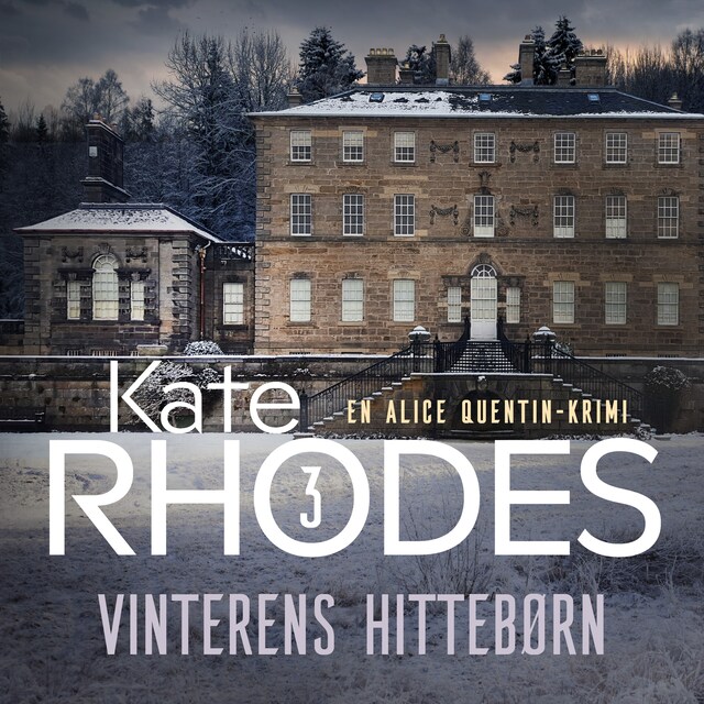 Couverture de livre pour Vinterens hittebørn