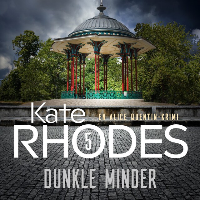 Book cover for Dunkle minder