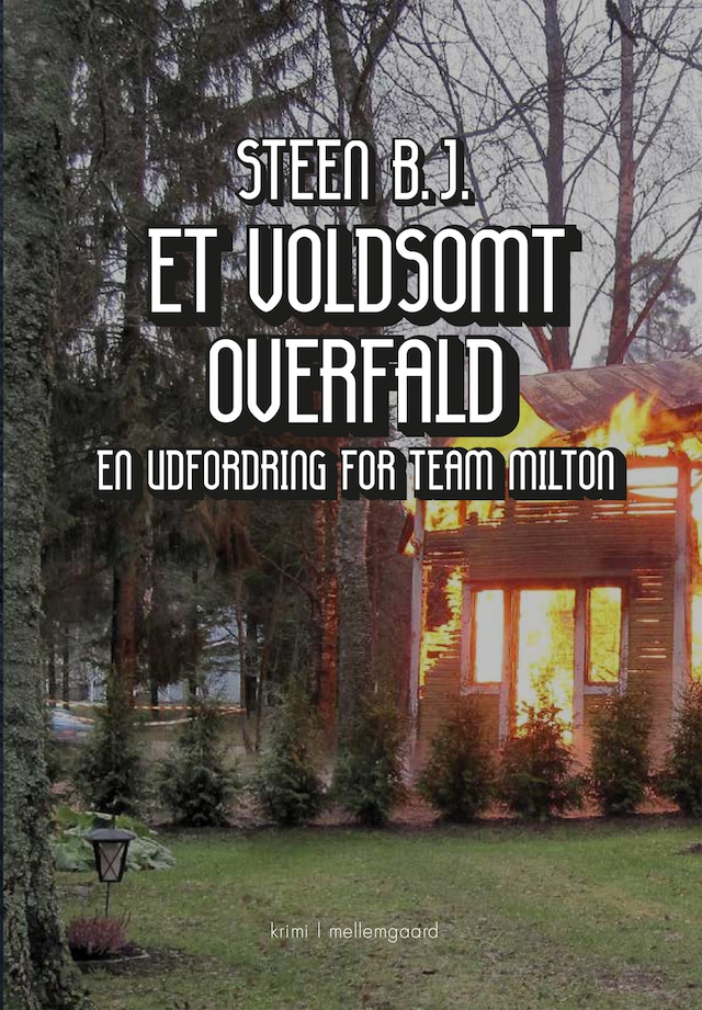 Book cover for ET VOLDSOMT OVERFALD