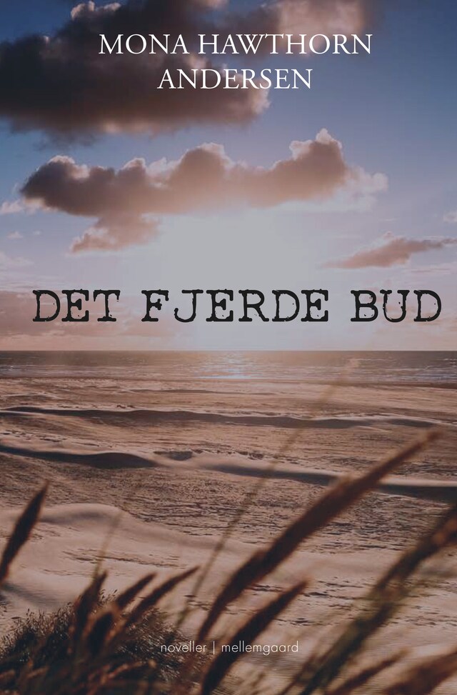 Buchcover für DET FJERDE BUD