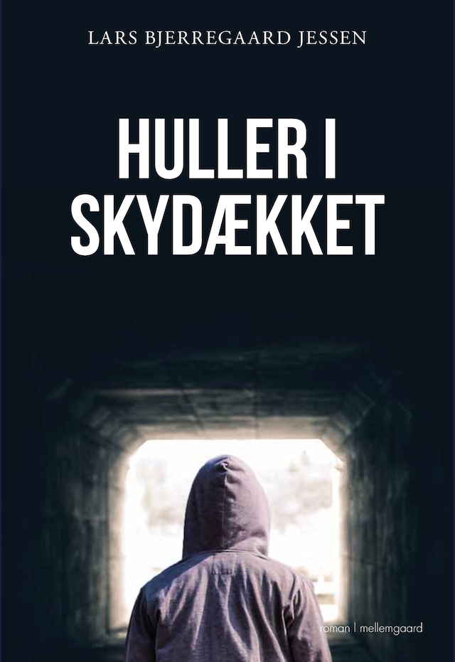 Book cover for Huller i skydækket