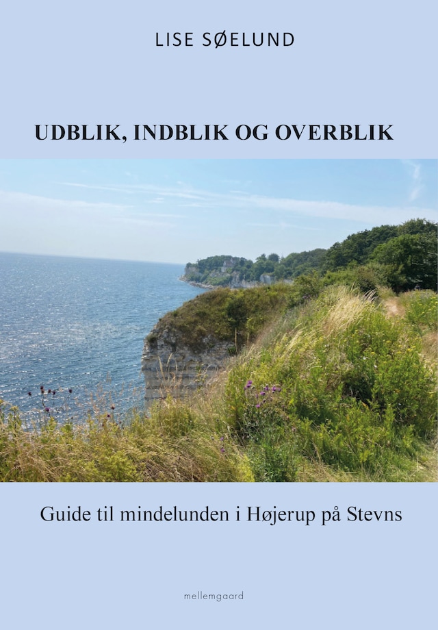 Book cover for UDBLIK, INDBLIK OG OVERBLIK