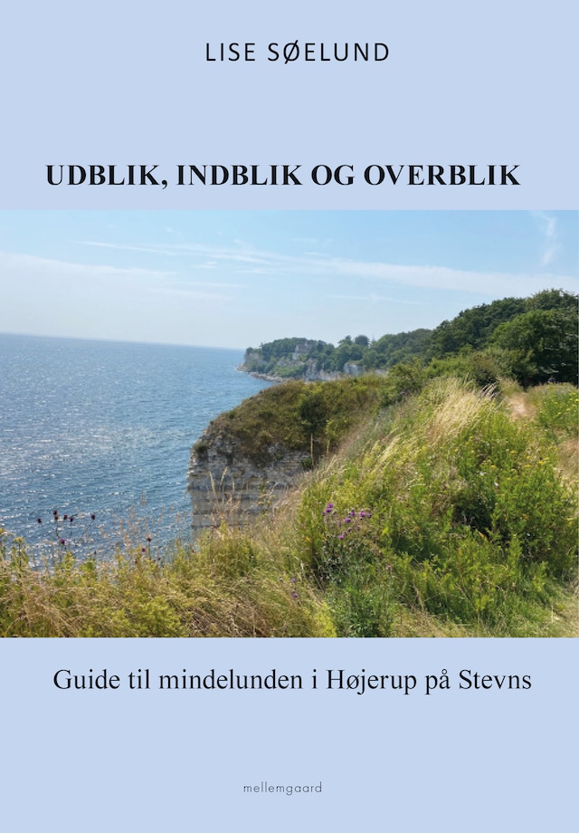 Portada de libro para UDBLIK, INDBLIK OG OVERBLIK