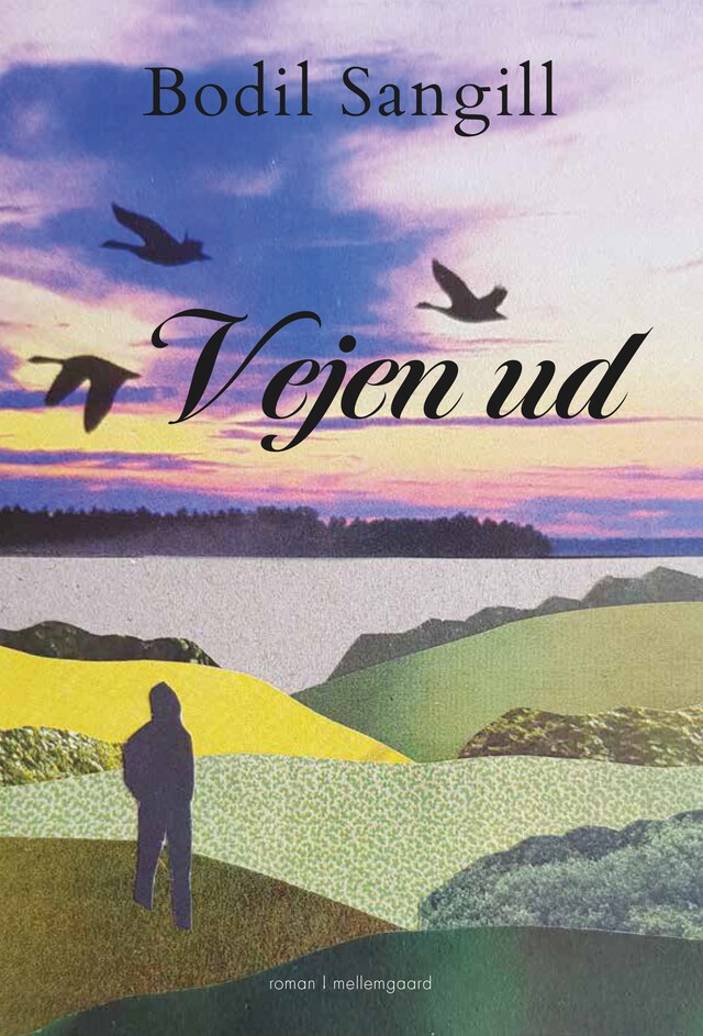 Book cover for VEJEN UD