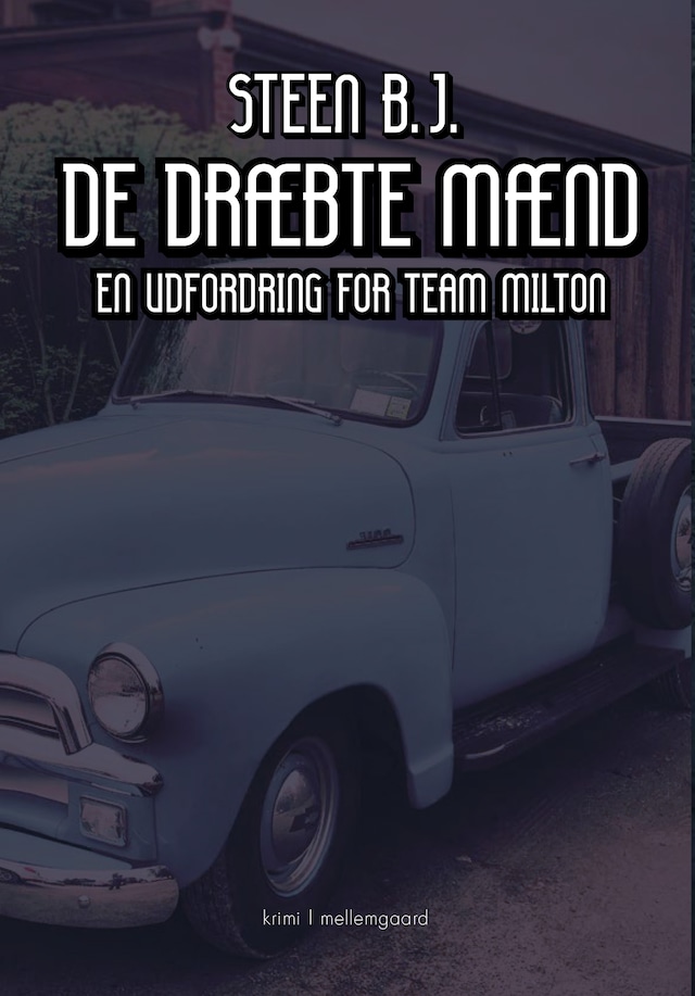 Book cover for DE DRÆBTE MÆND