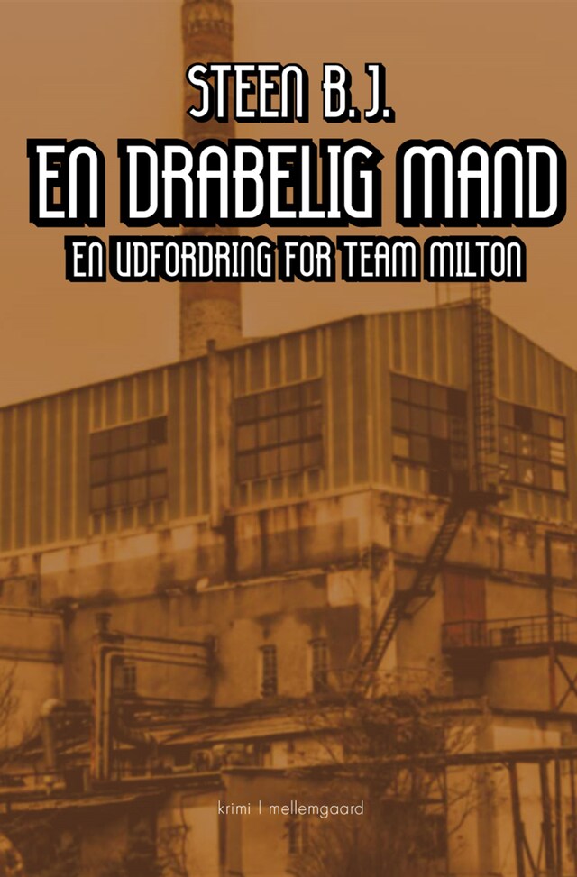 Book cover for EN DRABELIG MAND