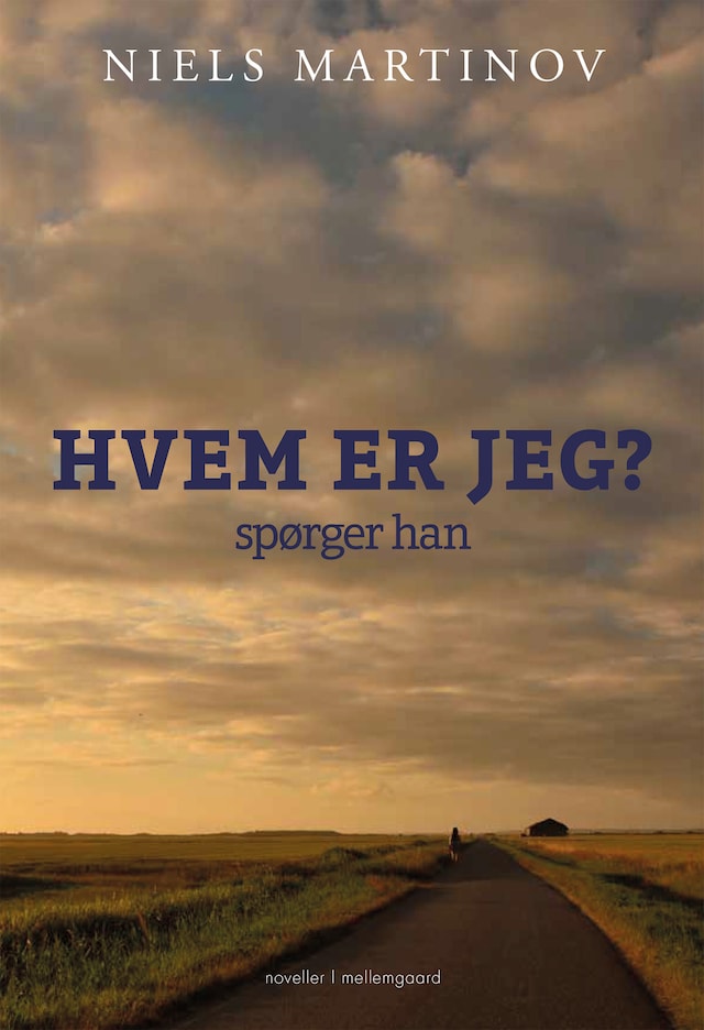 Book cover for HVEM ER JEG? SPØRGER HAN