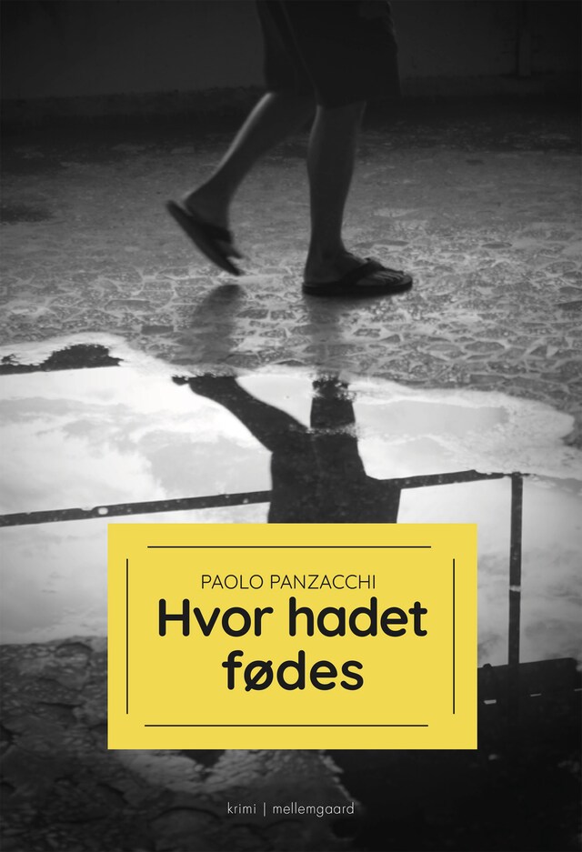 Bokomslag för HVOR HADET FØDES