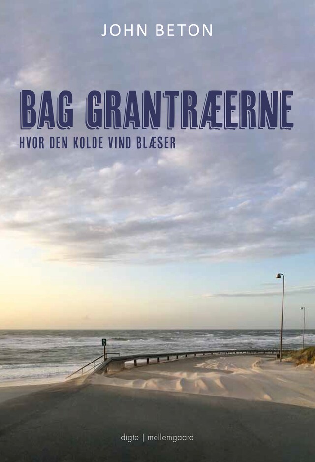 Buchcover für BAG GRANTRÆERNE