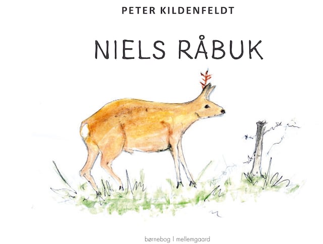 Buchcover für NIELS RÅBUK