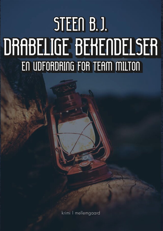 Book cover for DRABELIGE BEKENDELSER