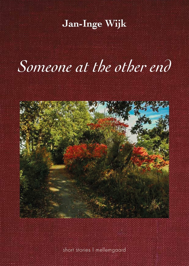 Book cover for SOMEONE AT THE OTHER END