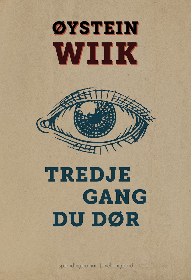 Book cover for TREDJE GANG DU DØR
