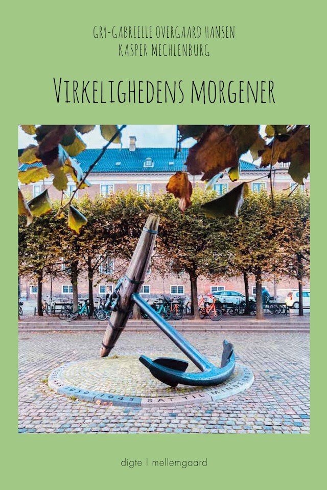 Book cover for VIRKELIGHEDENS MORGENER