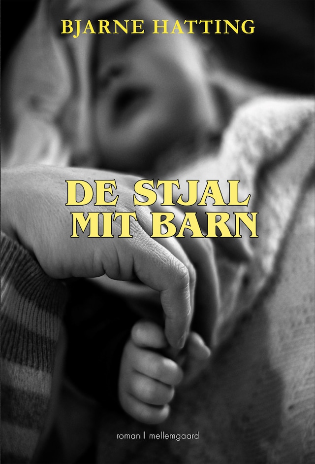 Book cover for DE STJAL MIT BARN