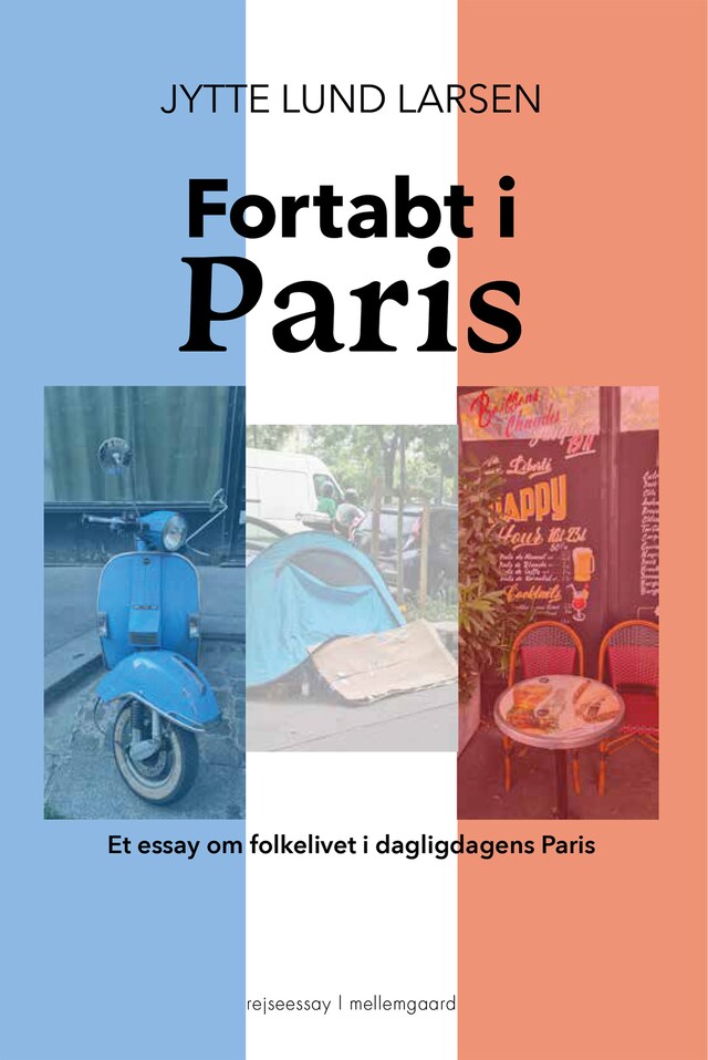 Boekomslag van FORTABT I PARIS