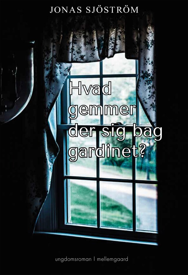 Book cover for HVAD GEMMER DER SIG BAG GARDINET?