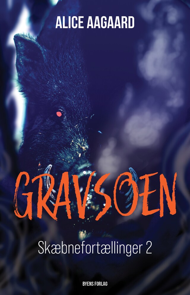 Couverture de livre pour Gravsoen