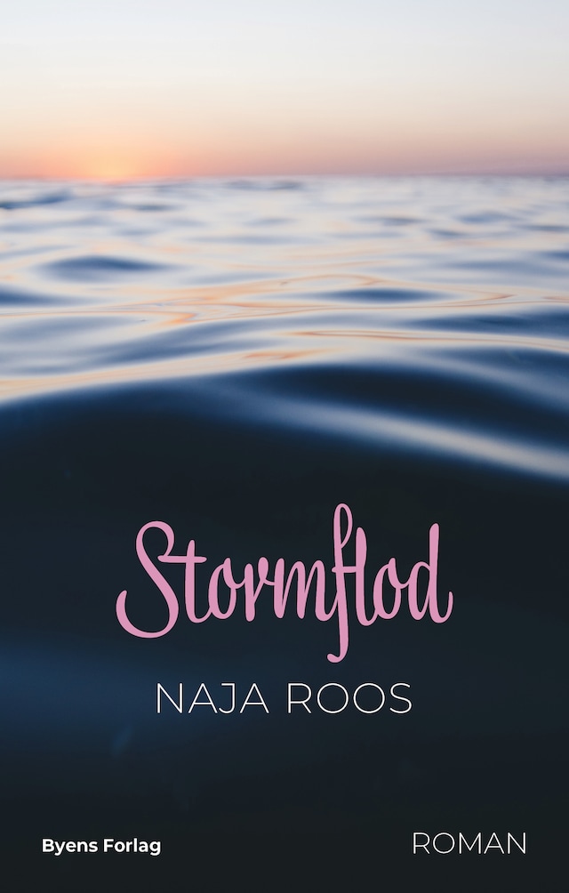 Book cover for Stormflod