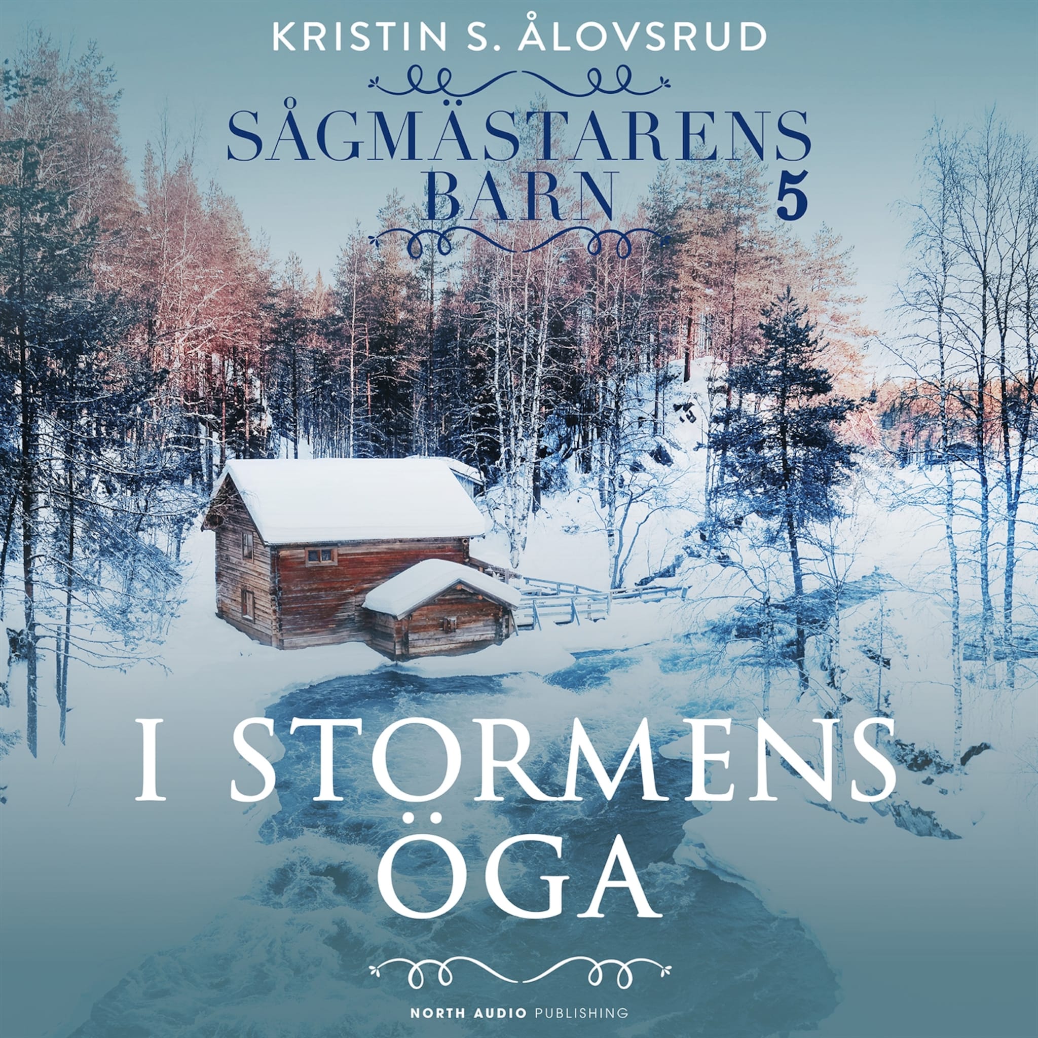 I stormens öga