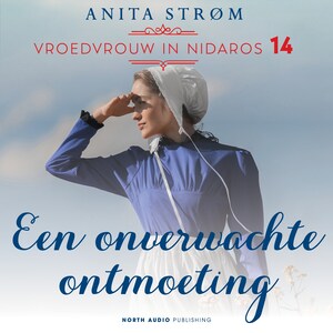 Een onverwachte ontmoeting - luisterboek