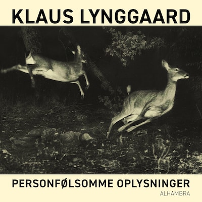 Personfølsomme oplysninger