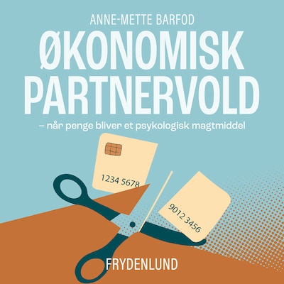 Økonomisk partnervold