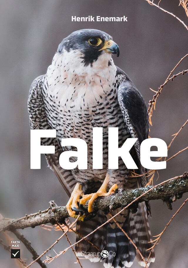 Buchcover für Falke