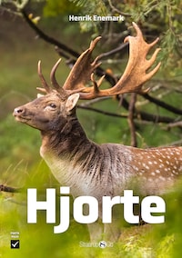 Hjorte