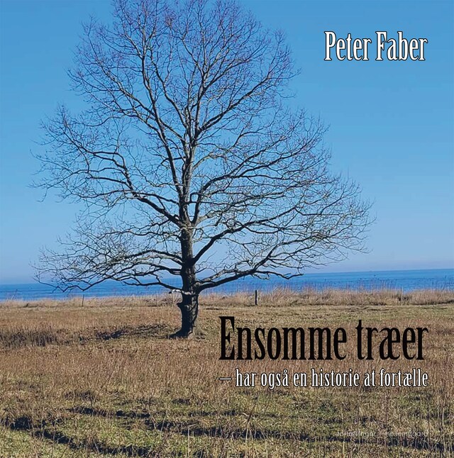 Book cover for ENSOMME TRÆER