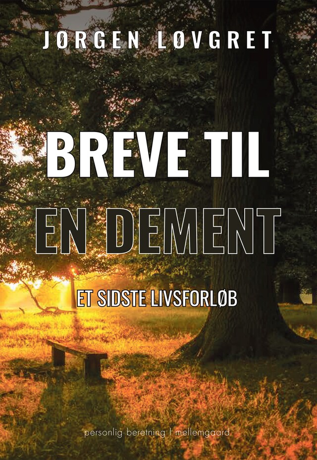 Book cover for BREVE TIL EN DEMENT