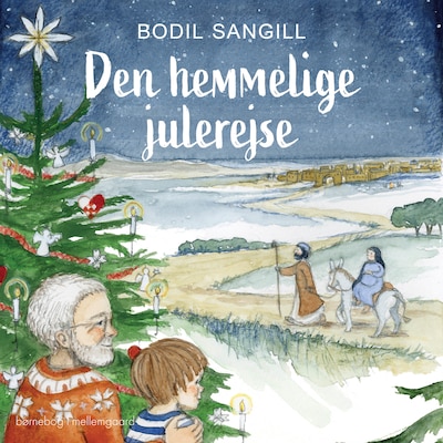 DEN HEMMELIGE JULEREJSE