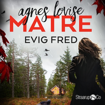 Evig fred