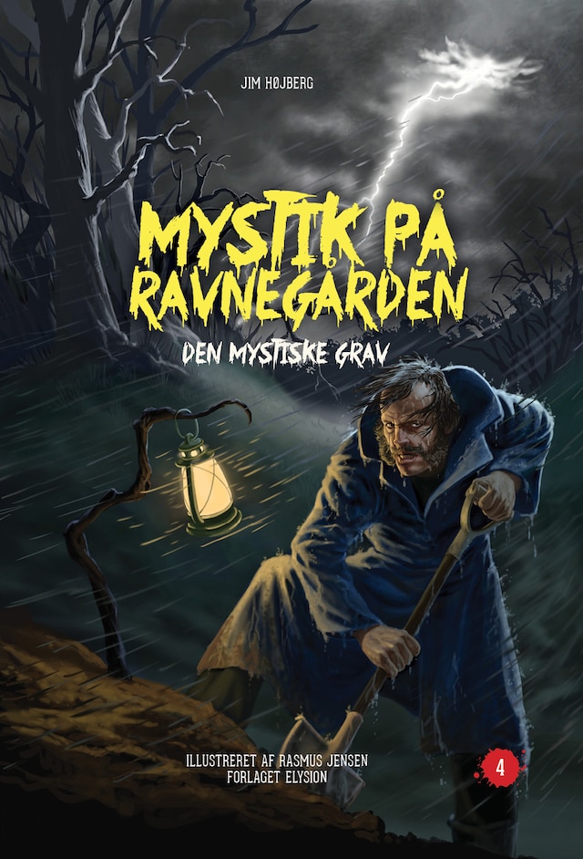 Book cover for Den mystiske grav
