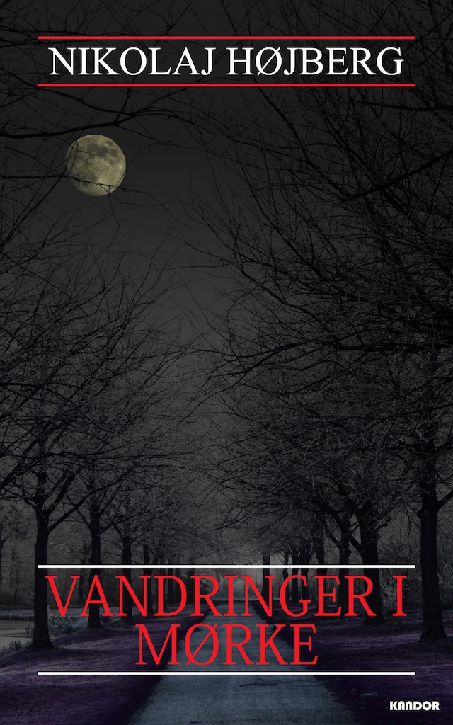 Book cover for Vandringer i mørke