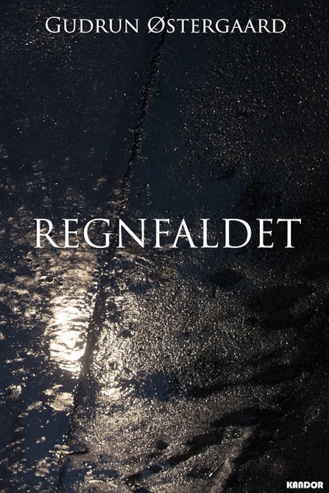 Book cover for Regnfaldet
