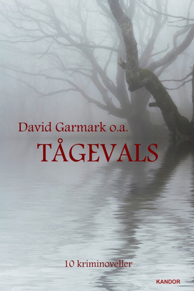 Copertina del libro per Tågevals