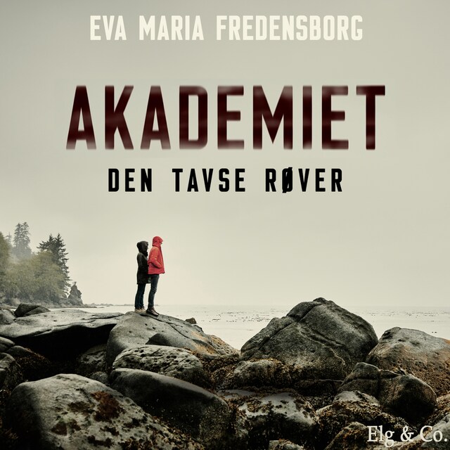 Book cover for Akademiet 1 - Den tavse røver