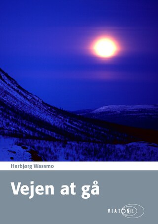 Vejen at gå lydbog