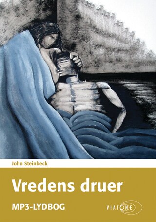 Vredens druer bookCoverFor