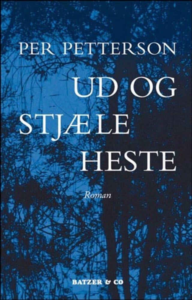 Okładka książki dla Ud og stjæle heste