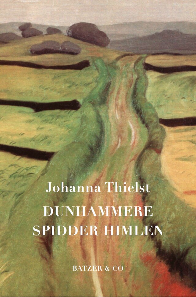 Buchcover für Dunhammere spidder himlen