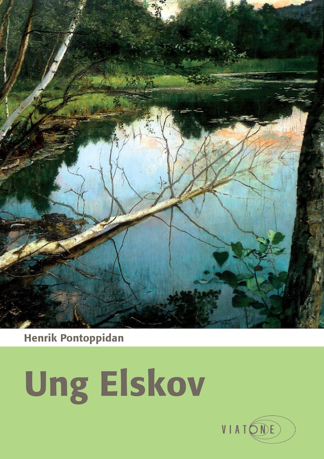 Book cover for Ung Elskov
