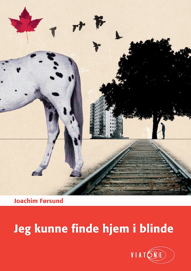 Book cover for Jeg kunne finde hjem i blinde